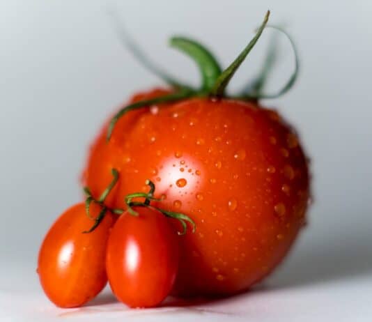 식이요법의 힘: 건강한 체중을 위한 올바른 식단 구성법 orange tomatoes