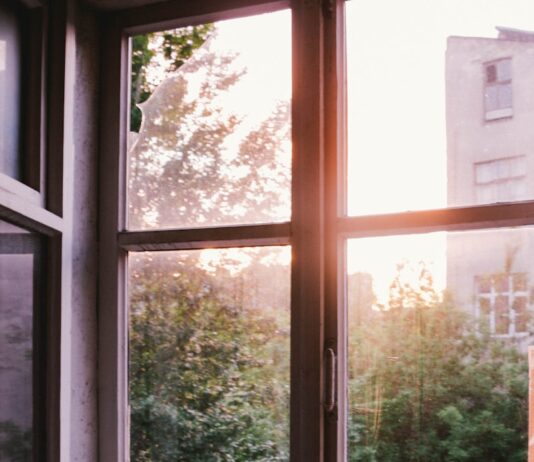 새벽형 인간이 되는 팁 books beside window during sunset